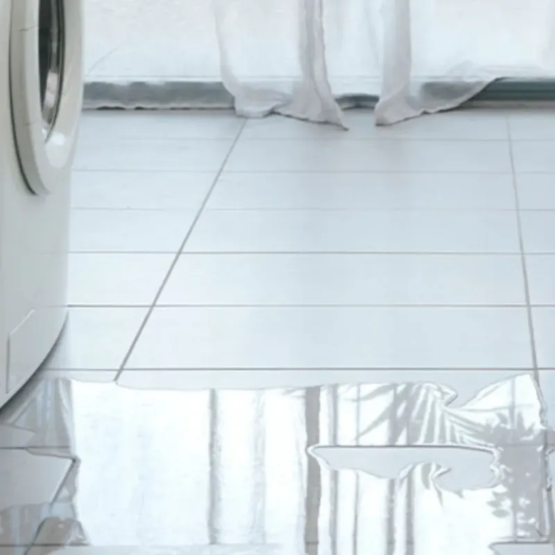 Appliance Leak Cleanup in Douglas, MA