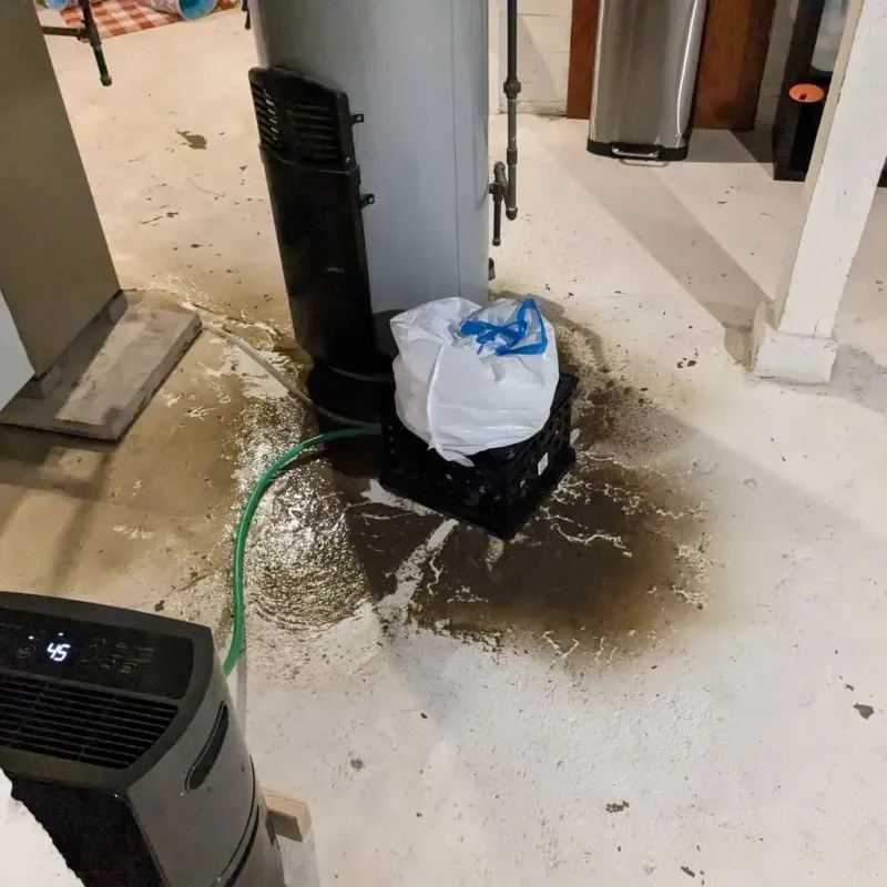 Sewage Backup Cleanup Service in Douglas, MA